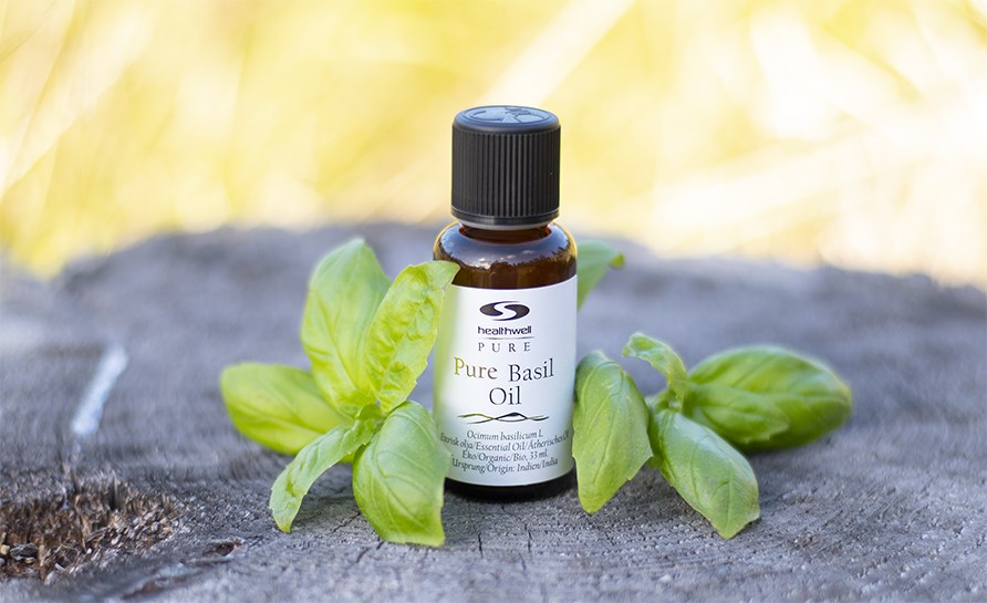 Highly-dosed and concentrated basil oil. 